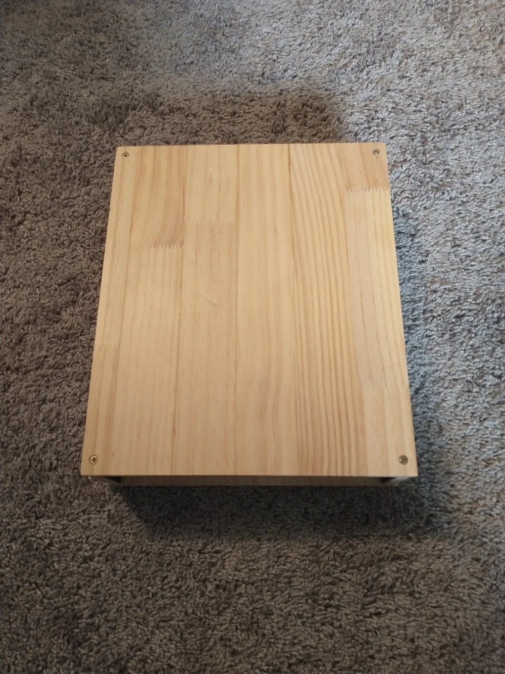Cat Nail File Enrichment Box